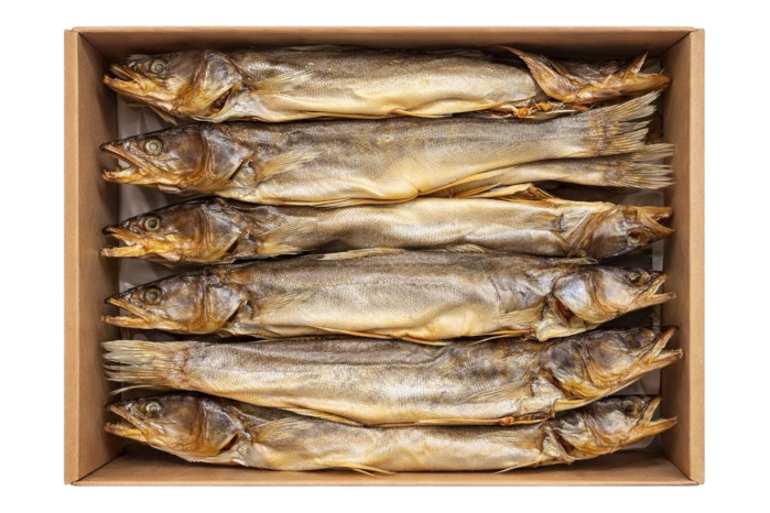 detail Candat (sudak) s hlavou vykuchaný