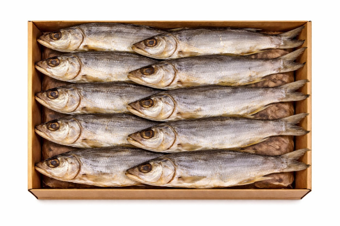 detail Žerech sušená ryba