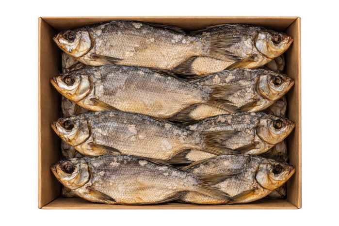 detail Gustera sušená