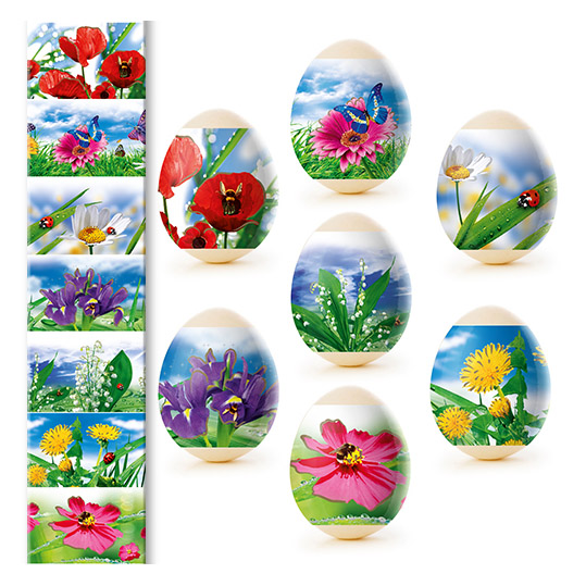 detail Nálepky na vejce 7ks Různé druhy