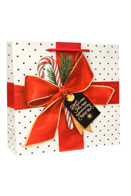 detail Dárková taška Červenámašle 27cmX23cm