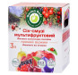 náhled Multifruitový džus-smoothie 3,0L Garde Gadz